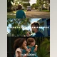 Thiago Vibesp - Download 5 Essential Red Camera Presets for Adobe Premiere Pro