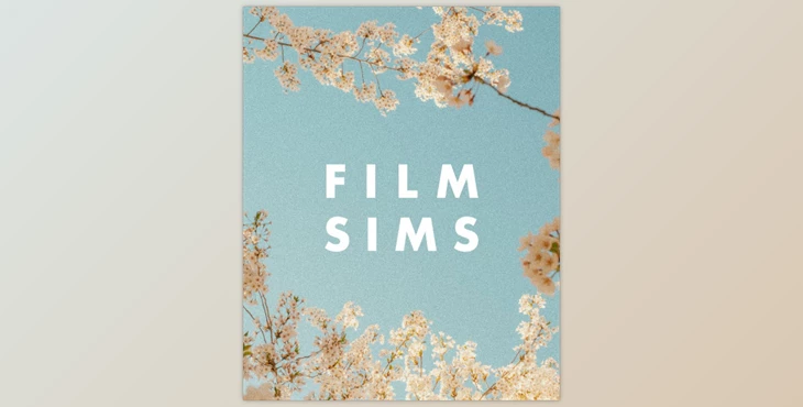 Media by AV - Download AV FILM SIMS - BUNDLE (4 PACKS)