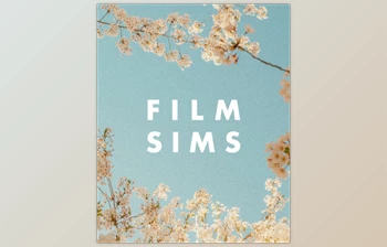 Media by AV - Download AV FILM SIMS - BUNDLE (<span class='badge badge-warning'>4</span> PACKS)