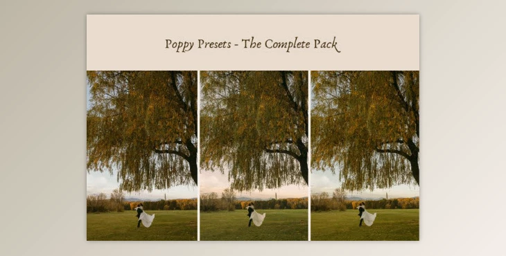 Ashlynlee - Download Poppy Presets - Complete Pack
