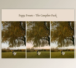 Ashlynlee - Download Poppy Presets - Complete Pack