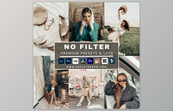 Presetsroom - Download No Filter <span class='badge badge-warning'>lightroom</span> presets & luts <span class='badge badge-warning'>collection</span>