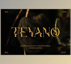 Download Tevano || Modern Unique Serif Font (Creative Market 291534532)