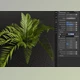 Gumroad - Download Procedural Fern - Plant (Blender Geometry-Nodes)