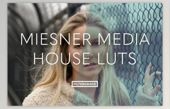 Filtergrade - Download Meisner Media <span class='badge badge-warning'>House</span> Luts