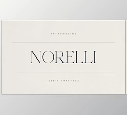 Download Norelli - A Modern Serif Typeface (Creative Market 291543335)