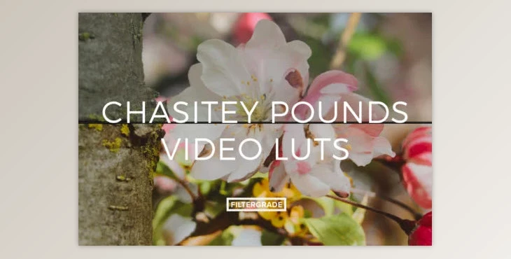 Filtergrade - Download Chasitey Pounds Video LUTs