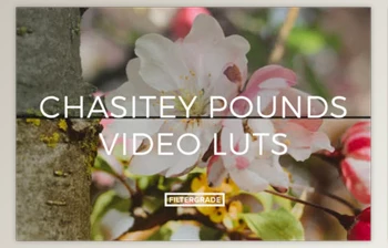 Filtergrade - Download Chasitey Pounds <span class='badge badge-warning'>Video</span> LUTs