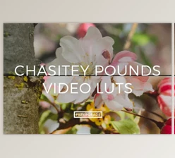 Filtergrade - Download Chasitey Pounds Video LUTs