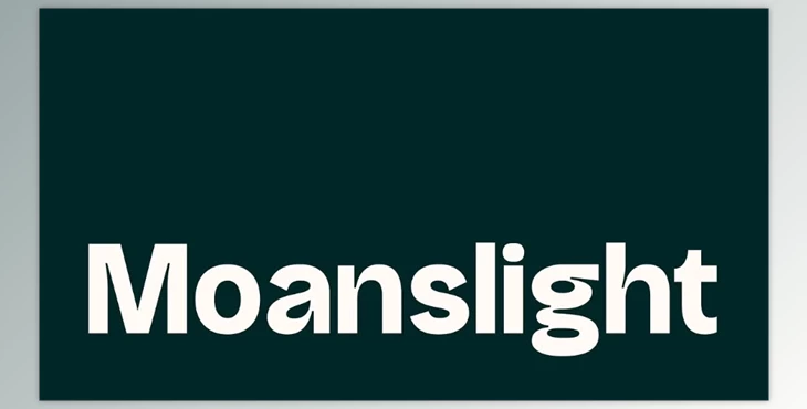 Download Moanslight Modern Grotesque (Creative Market 291568053)
