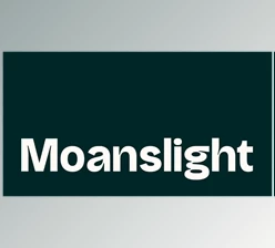 Download Moanslight Modern Grotesque (Creative Market 291568053)