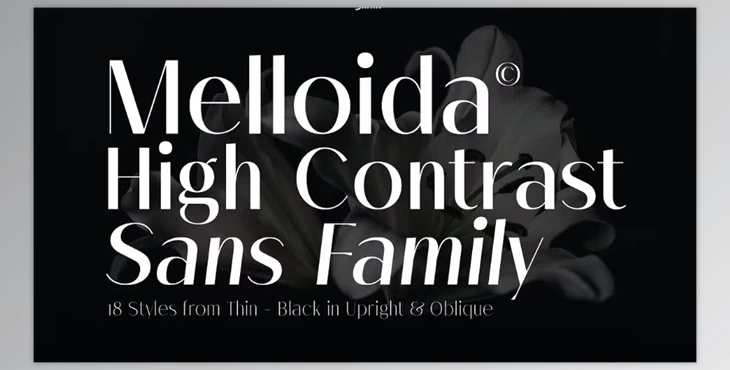 Download Melloida Font Family (Creative Market 291336362)