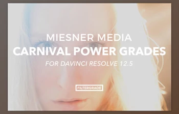 Filtergrade - Download Meisner <span class='badge badge-warning'>Media</span> Carnival Powergrades for DVR