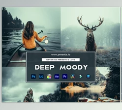 Presets.io - Download Deep Moody Preset Collection and Luts