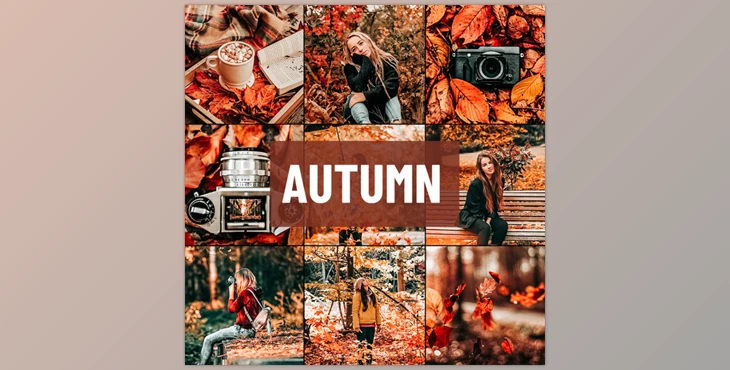 Psd Stack - Download Autumn Lightroom Presets