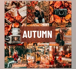 Psd Stack - Download Autumn Lightroom Presets