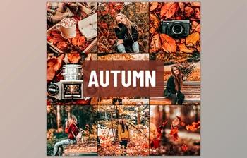Psd Stack - Download Autumn <span class='badge badge-warning'>Lightroom</span> Presets