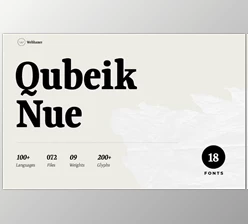 Download Qubeik Nue - A Premium Serif Font (Creative Market 291576925)