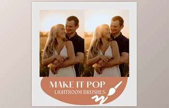 Cassidy Lynne - Download Make It Pop <span class='badge badge-warning'>Lightroom</span> Brushes