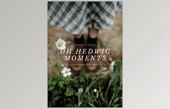 <span class='badge badge-warning'>Oh</span> Hedwig - Download <span class='badge badge-warning'>Oh</span> Hedwig Moments - <span class='badge badge-warning'>Lightroom</span> <span class='badge badge-warning'>Presets</span>