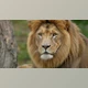 Aiarty Video Enhancer: Upscale and Repair Videos (v3.6 for Win, Mac)