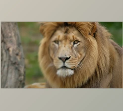 Aiarty Video Enhancer: Upscale and Repair Videos (v3.6 for Win, Mac)