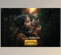 Download Sunrays transparent PNG overlays (Creative Market 286518731)