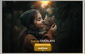 Download Sunrays transparent <span class='badge badge-warning'>PNG</span> overlays (Creative Market 286518731)