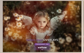 Download Soft <span class='badge badge-warning'>subtle</span> golden sunlight overlays (Creative Market 290737076)