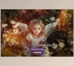 Download Soft subtle golden sunlight overlays (Creative Market 290737076)