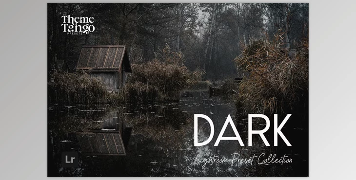 Download 14 Dark and Moody Lightroom Presets (Creative Market 291241400)