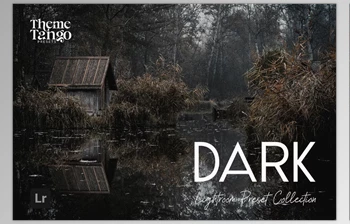 Download 14 Dark and Moody <span class='badge badge-warning'>Lightroom</span> <span class='badge badge-warning'>Presets</span> (Creative Market 291241400)