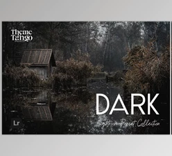 Download 14 Dark and Moody Lightroom Presets (Creative Market 291241400)