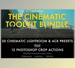 DesignBundles - Download Cinematic Aspect Ratio PS Action & Lightroom Presets