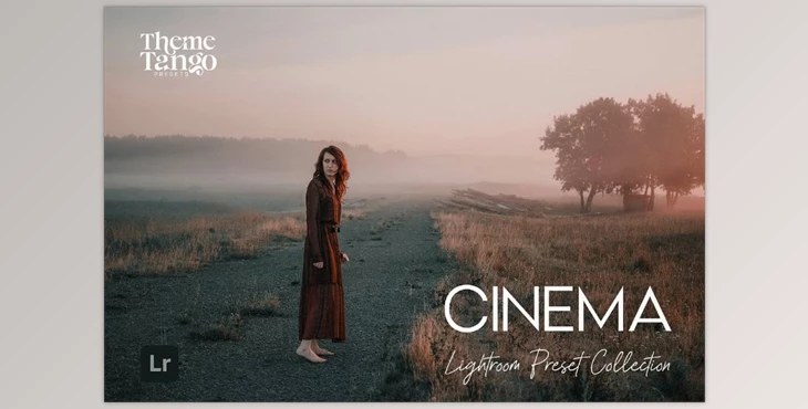 Download 9 Cinematic Lightroom Presets (Creative Market 291169651)