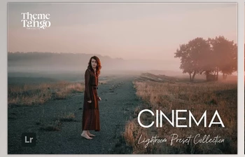 Download 9 Cinematic <span class='badge badge-warning'>Lightroom</span> <span class='badge badge-warning'>Presets</span> (Creative Market 291169651)