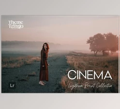 Download 9 Cinematic Lightroom Presets (Creative Market 291169651)