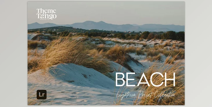 Download 15 Beach Bliss Lightroom Presets (Creative Market 291169638)