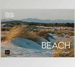 Download 15 Beach Bliss Lightroom Presets (Creative Market 291169638)