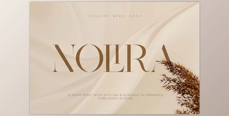 Download Nolira Elegant Serif Font (Creative Market 291336575)