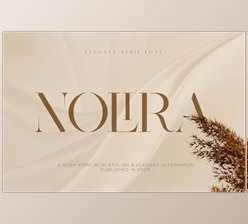 Download Nolira Elegant Serif Font (Creative Market 291336575)