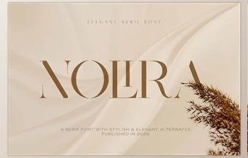 Download Nolira Elegant Serif <span class='badge badge-warning'>Font</span> (Creative Market 291336575)