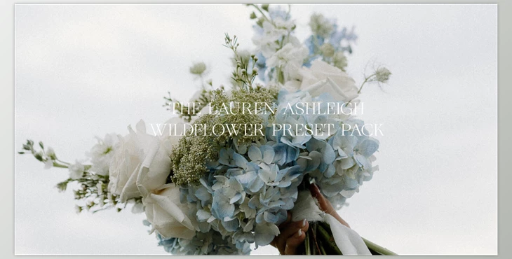Lauren Ashleigh - Download Wildflower AI masks & tools presets