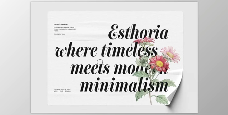 Download Esthoria Modern Elegant Serif (Creative Market 291238394)