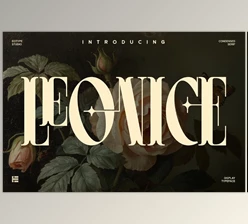 Download Leonice Display Font (Creative Market 291617538)