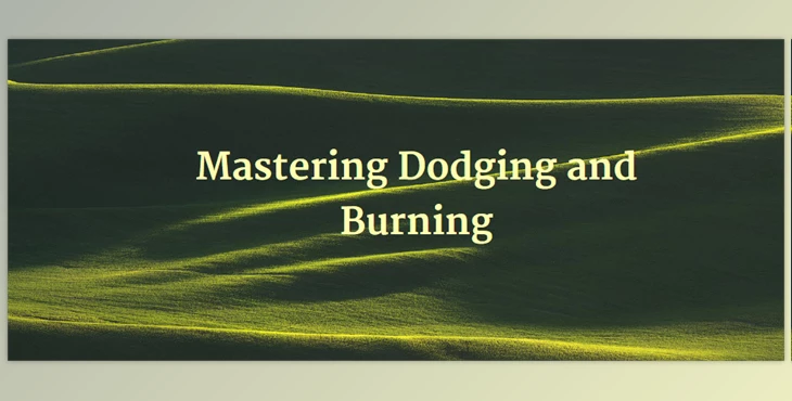 Nick Page - Download Mastering Dodging and Burning
