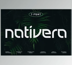 Download Nativera Font Family (Creative Market 291629804)