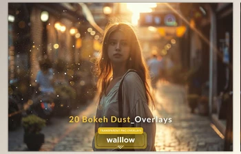 Download <span class='badge badge-warning'>Bokeh</span> dust Transparent PNG overlays (Creative Market 259616749)