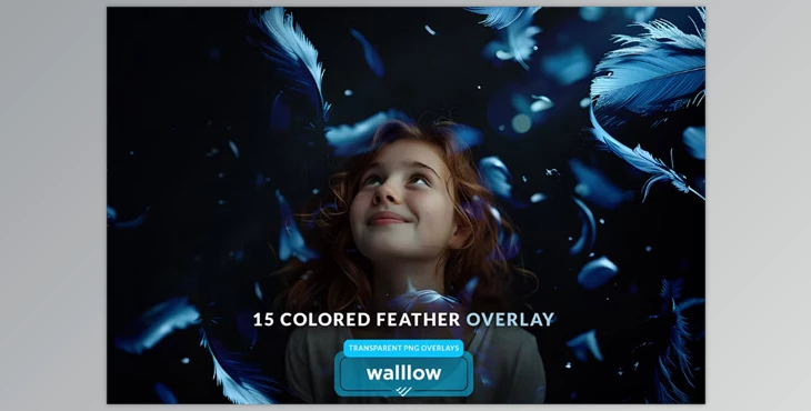 Download Colorful Feathers Png Photo Overlays (Creative Market 278365507)