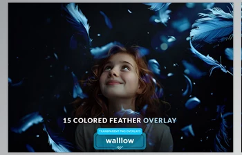 Download Colorful <span class='badge badge-warning'>Feathers</span> Png Photo Overlays (Creative Market 278365507)